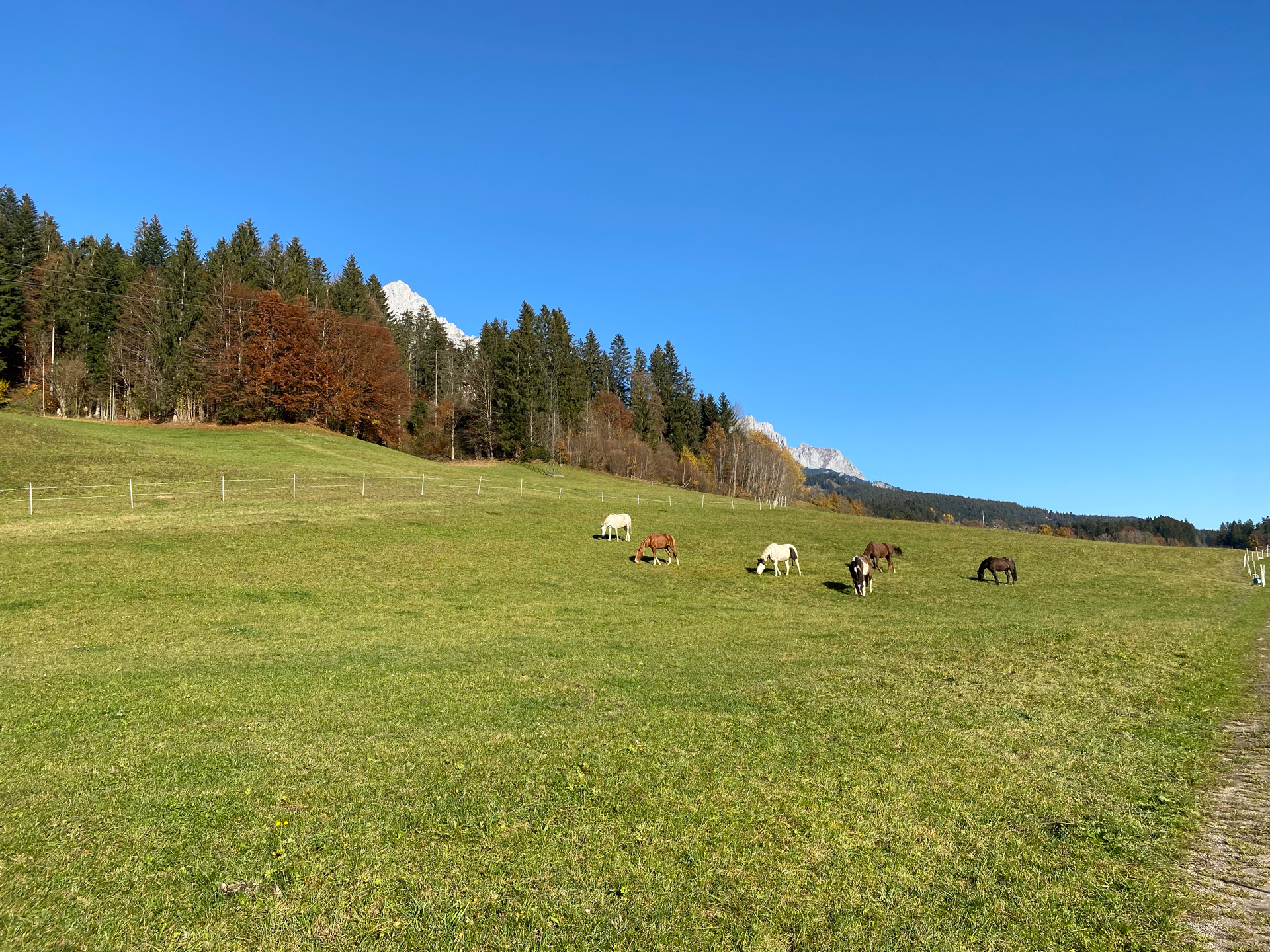 weitläufiges Gelände
